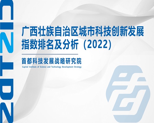 美女让我用鸡巴捅她逼【成果发布】广西壮族自治区城市科技创新发展指数排名及分析（2022）